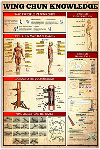 FJQWKLF Wing Chun Wissen, Retro-Metall-Wanddekoration, Poster, Wing Chun Studienführer, Aluminiumschilder, Wing Chun Kampfsport-Ausbildung, Zuhause, Club, Bauernhaus, 30,5 x 40,6 cm