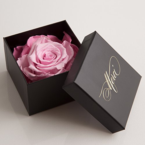 Ewige Rose 3 Jahre haltbar Dankeschön Geschenk Merci von ROSEMARIE SCHULZ Heidelberg (1 Rose, Rosa)