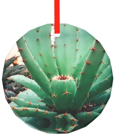 Agave Kaktus Weihnachtsschmuck Christbaumschmuck Rund Glas Ornamente Geeignet für Neujahr Zuhause für Versammlungen Dekorieren