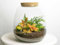 urbanjngl.com - Pflanzenterrarium - Emma Mini - DIY kit - ↑ 20 cm - Fittonia Ruby Lime - Do-It-Yourself Paket - DIY-Set - Pflanze im Glas - Komplettset Terrarium