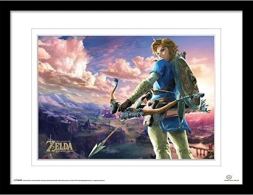 The Legend of Zelda - Imprimé BREATH OF THE WILD (40 cm x 30 cm) (Bleu/Vert)
