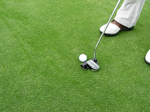 Kiepenkerl 4000159623699 RSM 4.1.1 Golfrasen Grün 10 kg
