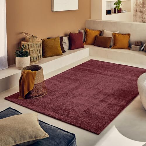 Nazar Teppich für Wohnzimmer, mehrfarbiger Teppich, rechteckiger Teppich, geometrisches Motiv, weicher Teppich für Schlafzimmer, cremefarben, großer Teppich, Schlafzimmer und Flur (567 Rot, 160 x 230