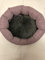 Petlando Hunde/Katzenbett Montreal S rosa 40x35 cm