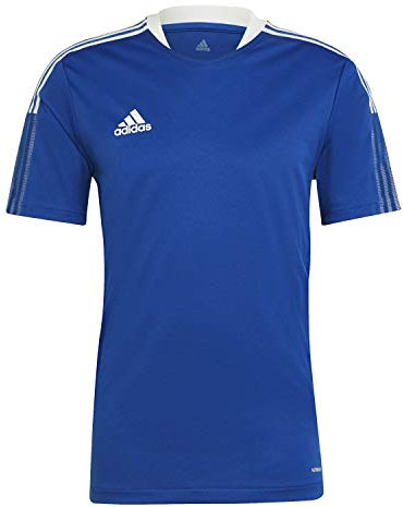 adidas Herren Tiro21 Tr Jsy T Shirt, Team Royal Blue, M EU