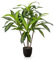 PASCH® Grand palmier dragon artificiel (100 cm), durable et réaliste - Plantes artificielles réalistes - Grandes plantes artificielles - Palmier artificiel pour une ambiance naturelle