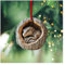 Wisafory Weihnachtsbaumschmuck Acryl Tier Dekor Weihnachtsbaum Anhänger mit Tiermuster 2D Acryl Weihnachtsdeko Eule Waschbär Ornament für Urlaub, Party, Weihnachtsdeko Dinosaurier