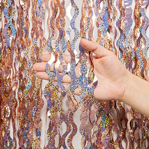 Lametta Vorhang Rosegold Glitzer, 2 Stück Metallic Folie Fransen Lametta Vorhänge, Rosegold Streamer Tinsel Curtain Photo Booth Backdrop für Mädchen Geburtstag Babyparty Verlobungs Dekoration(1m x 2m)