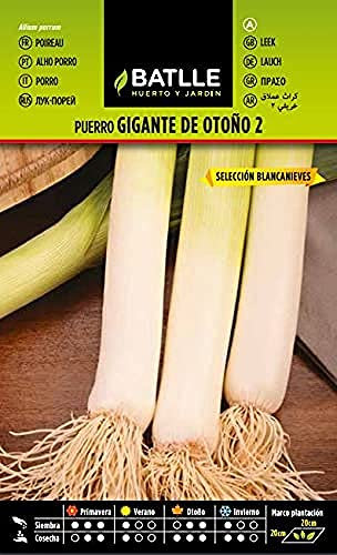 Semi Batlle – puerros