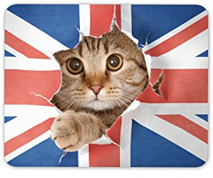 Destination Vinyl Ltd Union Jack Cat Mouse Mat Pad - Flag Kitten Funny Joke Fun PC Computer #8272