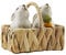 Mud Pie Ensemble salière et poivrière lapin de Pâques 10,8 x 7 cm