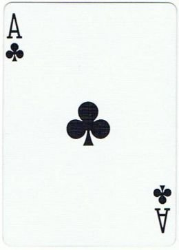 US Playing Card Company Mazzo di Carte Tutte Uguali Dorso Rosso (6 di Fiori)