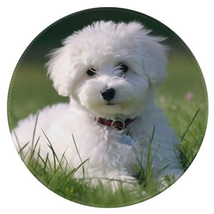 Tapis de souris pour ordinateur avec base en caoutchouc antidérapant, motif bichon sur l'herbe, tapis de souris rond imperméable, tapis de souris de jeu personnalisé pour bureau, maison, ordinateur