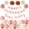 Happy Birthday Rosa Rosegold Geburtstag Party Deko Set Geburtstag Girlande Luftballons Retro Rosa Ballons 6 Pompoms Kindergeburtstag