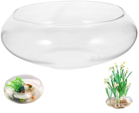 Lotus Bowl Pflanzer 8 Zoll breit Mund klares Glasvase Hydroponic & Sukkulente Glasschale dekorativ für den Innenbereich im Freien