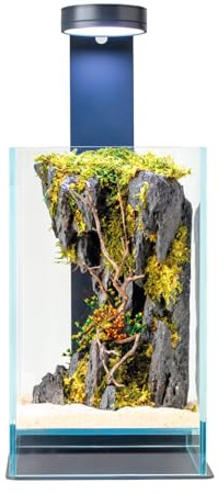 WabiFlur Creus stabiliserat terrarium i extra klart glas med LED-ljus och stativ, komplett med stabiliserade blommor eleganta naturliga möbler utan underhåll för hem, kontor och presentidéer, grön