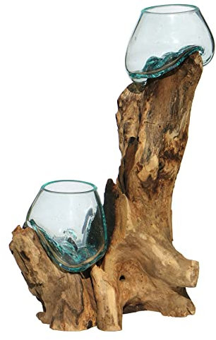 Wogeka - Doppel Glas-Vase auf Wurzel-Holz Gamal - im modernen Style aus Holz als Geschenk-Idee zu Weihnachten Geburtstag Dekoration (Do12L (Ø Glas 12 cm))