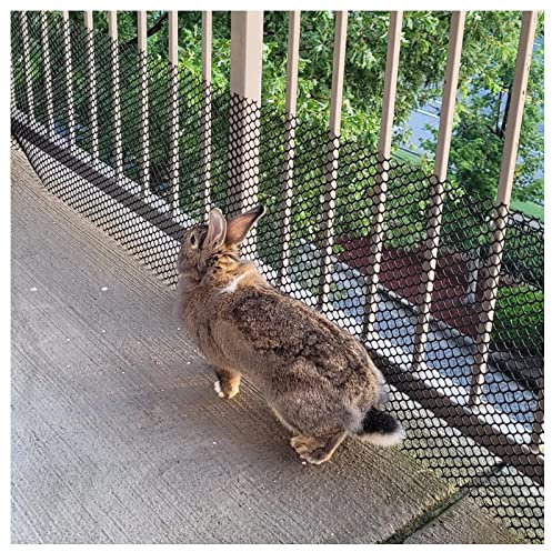 LXLZYXSF Plastic Vinyl Rabbits Dogs Fencing Pet Barrier Poultry Fence with Zip Ties, Crafts Garden Chicken Wire Mesh - DIY Moss Poles (Color : 1.2cm Hole, Size : 0.8x50m(2.6x164ft))