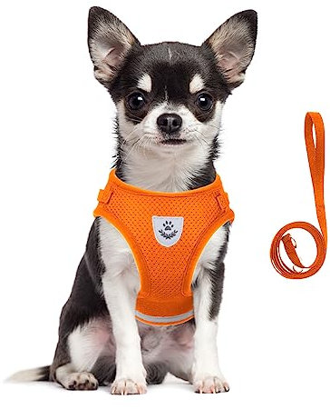 meioro Hundegeschirr mit Leine-Reflektierend Weich Gepolstert Hunde Geschirr-Atmungsaktiv Verstellbare Brustgeschirr für Kleine Mittelgroße Welpen Katzen-Schwarz Weste (Orange, L-Brust:41-46cm)