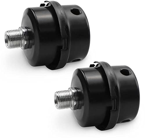 Bwintech 2 Pezzi Silenziatore Compressore D'aria 3/8 Filettatura Filtro di Aspirazione in Metallo Nero per