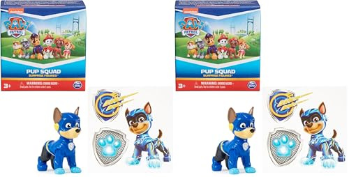 PAW PATROL, Pup Squad Mini-Spielfiguren, unterschiedliche Charaktere zum Sammeln in Überraschungsverpackung, Spielzeug geeignet für Kinder ab 3 Jahren (Packung mit 2)