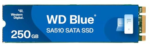 WD Blue SA510 SSD 250GB M.2 2280 SATA III 6Gb/ s internal single-packed POWERED BY SANDISK