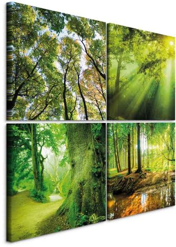 murando - Wandbilder Wald 80x80 cm Vlies Leinwandbild 4 Teilig Kunstdruck modern Wandbilder XXL Wanddekoration Design Wand Bild - Natur grün Baum c-B-0524-b-i