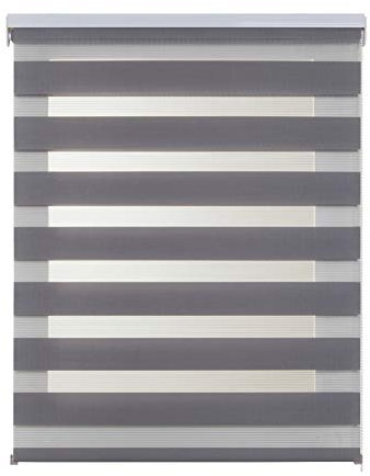 Estores Noche y Día de Calidad con Doble Tejido Elegantes para Ventanas de Interior y Puertas. Elige la privacidad y el Paso de la luz STORESDECO Plata 100 x 250 cm (Ancho x Largo)