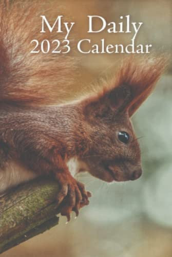 2023 Daily Calendar and Organizer with Schedule. Federal and Local Holidays.