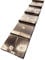 Medikratz Cat Ladder, Wood, Natural, flamed - Safe Access for Cats to Raised Surfaces, Indoor & Outdoor Use, 1.2 m