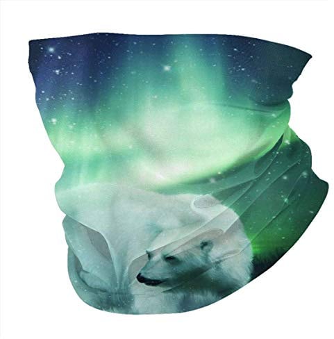 Vince Camu Nordlichter Eisbär,Winddicht Balaclava,Schlauchschal,Halswärmer,Halstücher,Multifunktionstuch Rundschal,Gesichts,Männer Frauen Sturmhaube