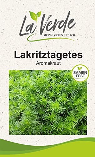 Lakritztagetes Dropshot Kräutersamen