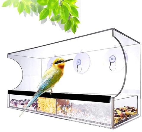 Futterspender Vogel Vogelhaus mit Abnehmbarem Tablett, Ablasslöcher und 3 Saugnäpfe - Groß, Transparent