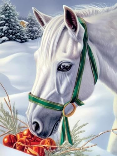 Bimkole DIY 5D Diamond Painting Zubehör Pferd, Tierischer Schnee Diamant Malerei Kit Voll Runde Bohrer Malen nach Zahlen Malerei Stickerei Kreuzstich Diamond Dekoration 30X40 cm