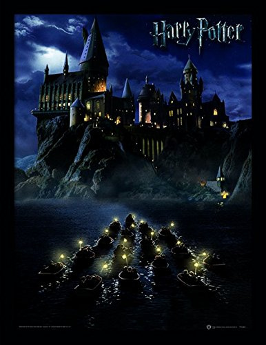 Pyramid International Harry Potter - Colegio Hogwarts, 30 x 40 cm, impresión enmarcada