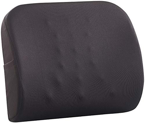 Newgen Medicals Ergonomisches Lenden- & Rückenkissen aus Memory Foam, Haltegurt