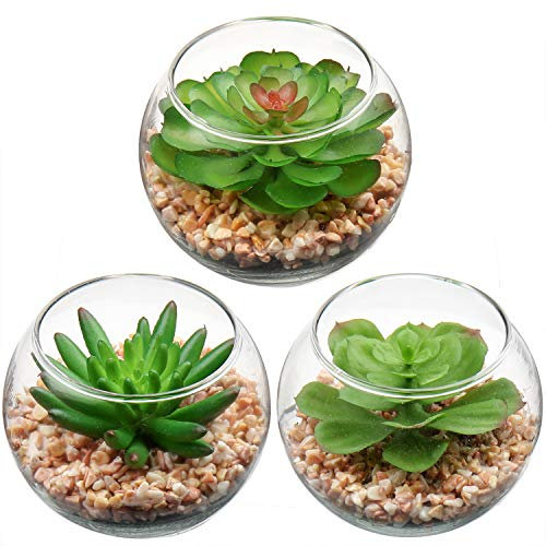 Briful Mini-Sukkulenten, künstliche Sukkulenten im Topf für den Innenbereich, kleine in quadratischen, klaren Glas-Pflanzgefäßen, Zuhause, Büro, Garten, Dekoration (Sukkulenten #07)