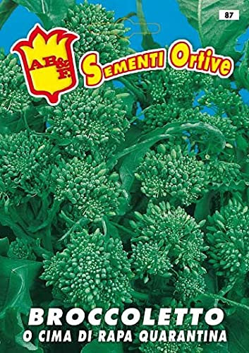Cima di Rapa, Broccoletto Quarantina Precoce,seme in busta