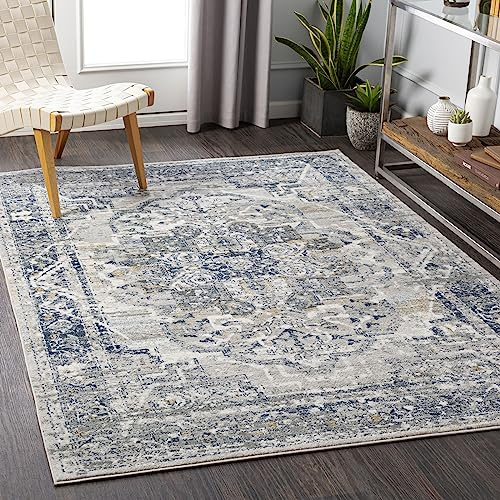 Livabliss Ascot Vintage Teppich groß - Orientalischer Teppich Wohnzimmer 200x275 cm, Esszimmer, Schlafzimmer - Boho Kurzflor Teppiche für einfache Pflege - Grau und Blau