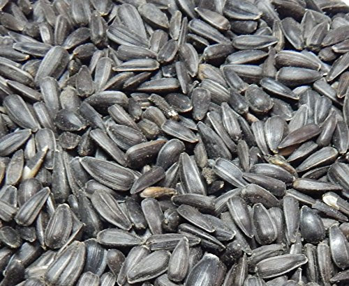 Bird`s Garden Sonnenblumenkerne schwarz 5 kg, Vogelfutter, Winterfutter,