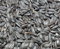 Bird`s Garden Sonnenblumenkerne schwarz 5 kg, Vogelfutter, Winterfutter,