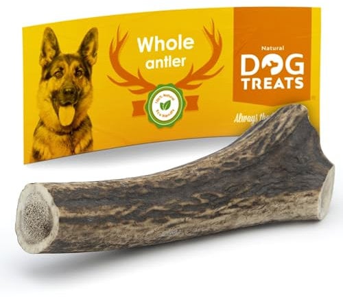 Natural Dog Treats – Corno di Cervo 100% Naturale per Cani Grandi, Giocattolo da Masticare – Taglia L