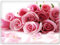 ShopQuality4U Premium Medium Glass Cutting Board Cheese Board Board Pink Roses Bunch Design Kitchen Worktop Saver Protector