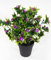Callabusch/Callapflanze 32cm im Topf JA Kunstblumen künstliche Calla Blumen Pflanzen Blumen (Lila)