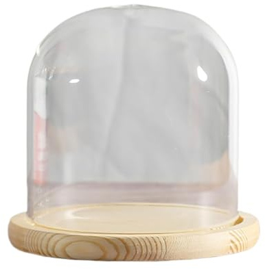 EYRMQWJPC Cloche en Verre Transparent, Cloche en Verre avec Socle Bois Massif, diamètre 20 cm, Hauteur 20-30(Dia20*H20cm)