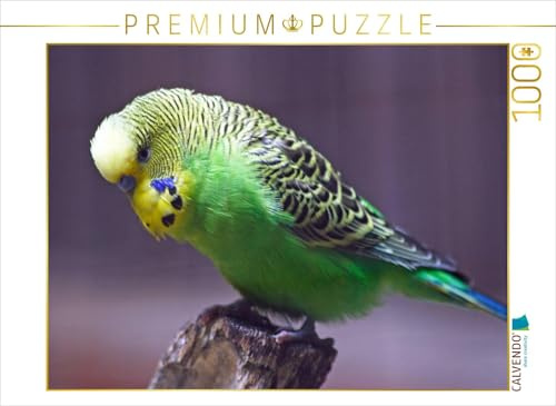 CALVENDO Puzzle Portrait grüner Wellensittich | 1000 Teile Lege-Größe 64 x 48 cm Foto-Puzzle für glückliche Stunden