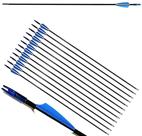 ZSHJG 12pcs Flèches en Fibre de Verre 31 Pouces Flèches d'entraînement de Cible Spine 900 Flèches de Chasse avec Flèche Carquois pour 35 Lbs Arc Recourbé Arc Long Traditionnel