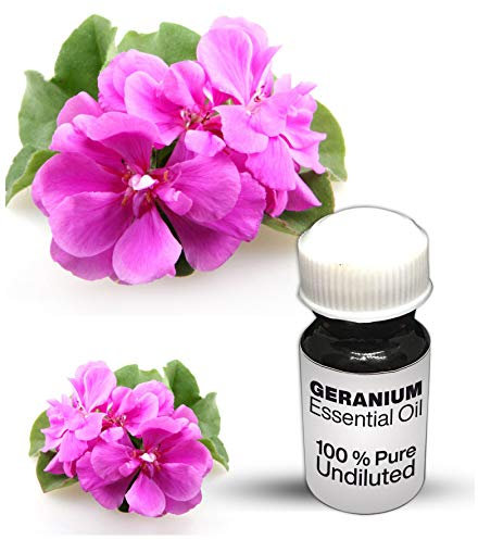 Ätherisches Geranien-Öl / 100% reine Geranie, unverdünnt, ätherisches Öl, Premium-Qualität (50 ml)