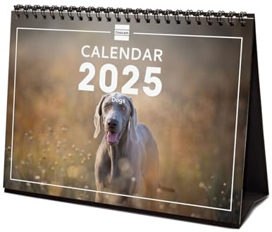 Finocam - Bebilderter Tischkalender International 2025 Monatsansicht Januar 2025 bis Dezember 2025 (12 Monate) Dogs International