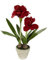 Flair Flower Künstliche Amaryllis im Topf 50cm Blume Weihnachtsblume Seidenblume Weihnachtsdeko Winterblume Floristik Arrangement Gesteck im Topf Pflanzen Weihnachten Kunstblumen Kunstpflanzen, rot